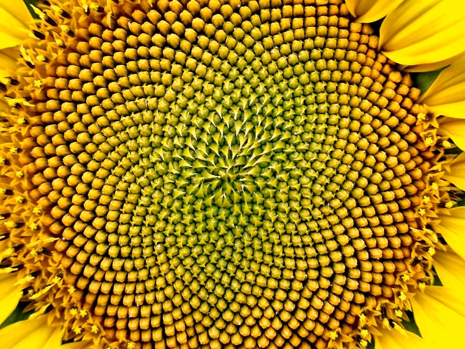 Entfaltung - Tagesworkshop